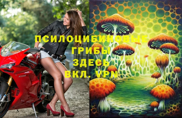 эйфоретик Нея