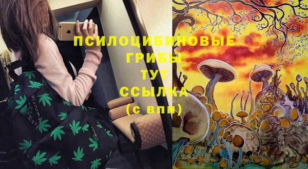 эйфоретик Нея