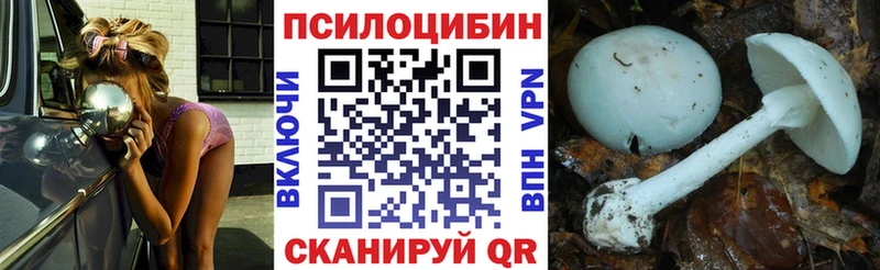 Галлюциногенные грибы Psilocybe  где можно купить наркотик  Орлов 
